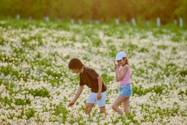 Karahindiba otlağında oynayan iki sevimli çocuk..