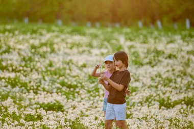 Karahindiba otlağında oynayan iki sevimli çocuk..