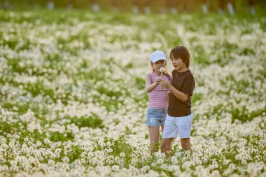 Karahindiba otlağında oynayan iki sevimli çocuk..