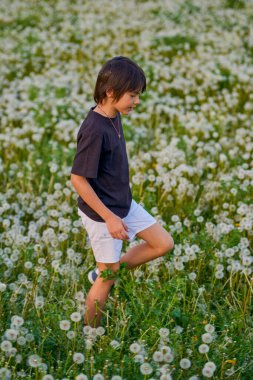 Bir bahar günü karahindiba otlağında oynayan sevimli bir çocuk.