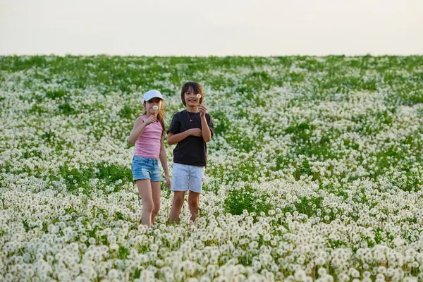 Karahindiba otlağında oynayan iki sevimli çocuk..