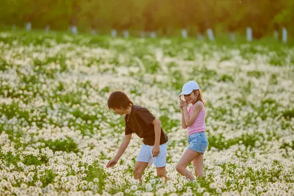 Karahindiba otlağında oynayan iki sevimli çocuk..
