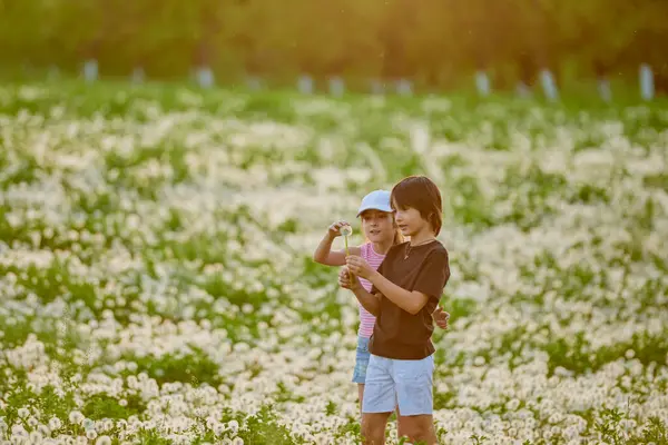 Karahindiba otlağında oynayan iki sevimli çocuk..