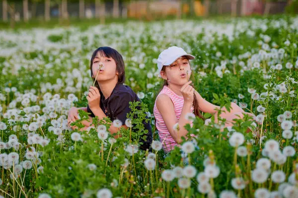 Karahindiba otlağında oynayan iki sevimli çocuk..