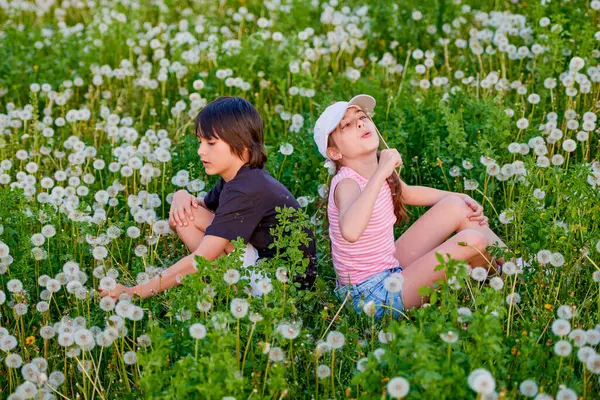 Karahindiba otlağında oynayan iki sevimli çocuk..