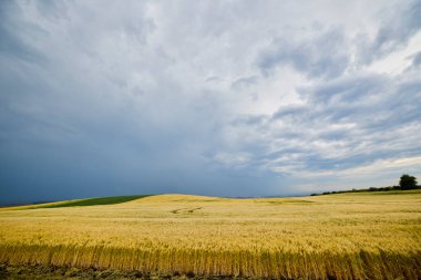 Bulutlu bir günde tarımsal alanla birlikte manzara