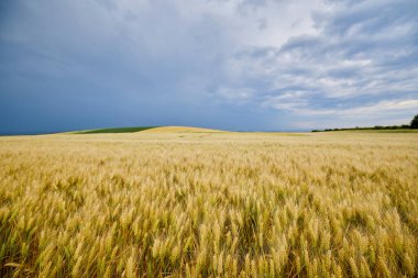 Bulutlu bir günde tarımsal alanla birlikte manzara
