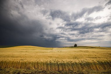 Bulutlu bir günde tarımsal alanla birlikte manzara