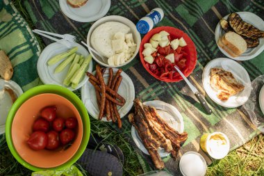 Yukarıdan görülen piknik battaniyesinde çeşitli yiyeceklerin tabakları.