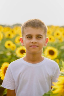 Bir çocuk yaz günü açan ayçiçeklerinin tadını çıkarır..