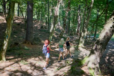Bir grup orta yaşlı bayan arkadaş ormanda yürüyüş yapıyor ve dinleniyorlar..