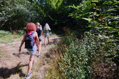 Bir grup orta yaşlı bayan arkadaş ormanda yürüyüş yapıyor ve dinleniyorlar..