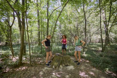 Bir grup orta yaşlı bayan arkadaş ormanda yürüyüş yapıyor ve dinleniyorlar..
