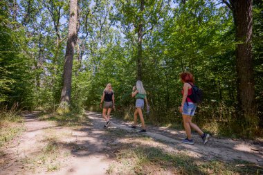 Bir grup orta yaşlı bayan arkadaş ormanda yürüyüş yapıyor ve dinleniyorlar..