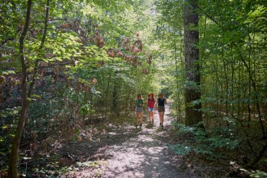 Bir grup orta yaşlı bayan arkadaş ormanda yürüyüş yapıyor ve dinleniyorlar..