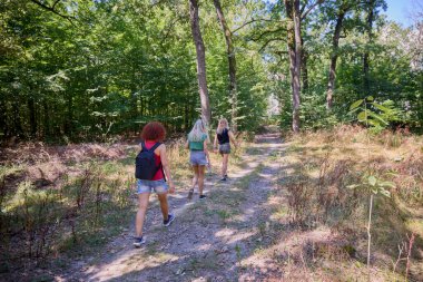 Bir grup orta yaşlı bayan arkadaş ormanda yürüyüş yapıyor ve dinleniyorlar..
