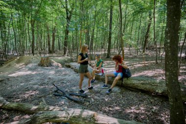 Bir grup orta yaşlı bayan arkadaş ormanda yürüyüş yapıyor ve dinleniyorlar..