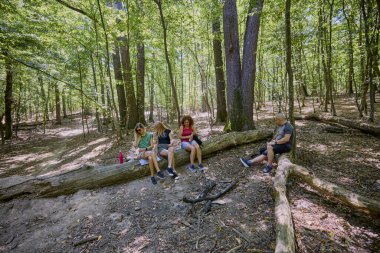 Bir grup insan ormanda yürüyüş yapıyor ve güneşli bir yaz gününde dinleniyorlar.