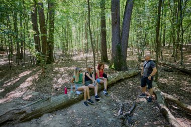 Bir grup insan ormanda yürüyüş yapıyor ve güneşli bir yaz gününde dinleniyorlar.