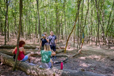 Bir grup insan ormanda yürüyüş yapıyor ve güneşli bir yaz gününde dinleniyorlar.