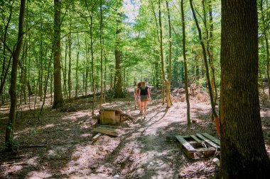 Bir grup insan ormanda yürüyüş yapıyor ve güneşli bir yaz gününde dinleniyorlar.