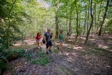 Bir grup insan ormanda yürüyüş yapıyor ve güneşli bir yaz gününde dinleniyorlar.