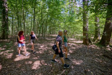 Bir grup insan ormanda yürüyüş yapıyor ve güneşli bir yaz gününde dinleniyorlar.