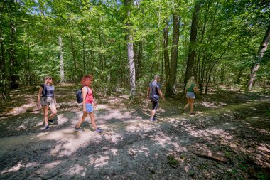 Bir grup insan ormanda yürüyüş yapıyor ve güneşli bir yaz gününde dinleniyorlar.