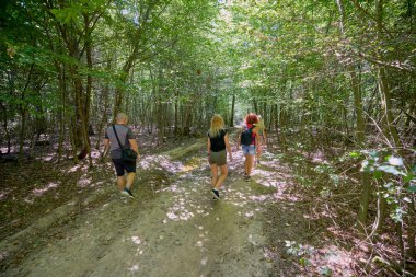 Bir grup insan ormanda yürüyüş yapıyor ve güneşli bir yaz gününde dinleniyorlar.