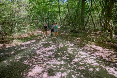 Bir grup insan ormanda yürüyüş yapıyor ve güneşli bir yaz gününde dinleniyorlar.