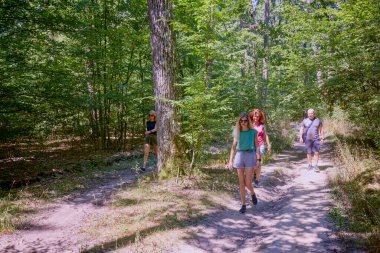 Bir grup insan ormanda yürüyüş yapıyor ve güneşli bir yaz gününde dinleniyorlar.
