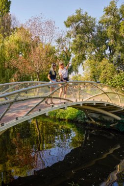 İki orta yaşlı kız kardeş bir yaz sabahını parkta dinlenerek ve eğlenerek geçiriyorlar..