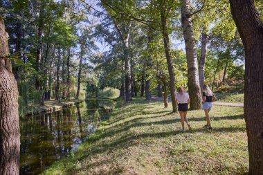 İki orta yaşlı kız kardeş bir yaz sabahını parkta dinlenerek ve eğlenerek geçiriyorlar..