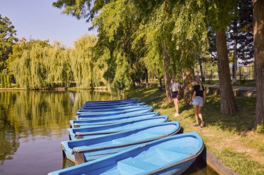 İki orta yaşlı kız kardeş bir yaz sabahını parkta dinlenerek ve eğlenerek geçiriyorlar..