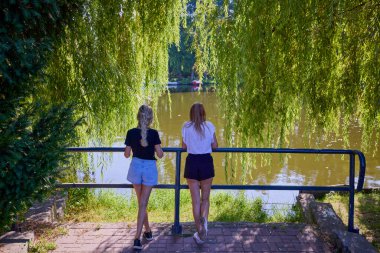 İki orta yaşlı kız kardeş bir yaz sabahını parkta dinlenerek ve eğlenerek geçiriyorlar..