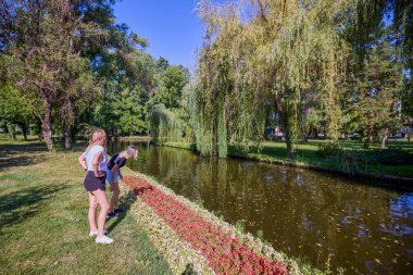 İki orta yaşlı kız kardeş bir yaz sabahını parkta dinlenerek ve eğlenerek geçiriyorlar..