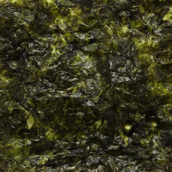 Dünne Blätter Aus Getrockneten Und Gewürzten Essbaren Algen Kims Zutat Stockfoto
