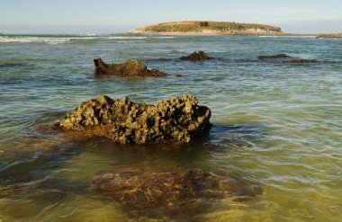 Cantabria, Santander Körfezi, Playa de Los Tranquilos kumsalı.