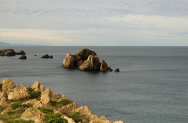 İspanya 'nın kuzeyinde Cantabria' nın kıyı kesiminde Costa Quebrada aşınmış, yani Kırık Kıyı.
