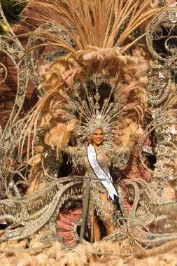 Las Palmas de Gran Canaria, İspanya - 17 Şubat 2024: Las Palmas de Gran Canaria Büyük Karnaval alayı