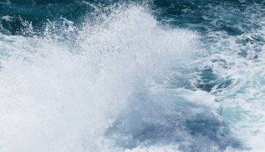 Büyük Kanarya, Roque Matavinos adası. Las Palmas 'ın kıyısında, büyük dalgalar tarafından kıyıya vurulan küçük bir deniz kırlangıcı kolonisi. 