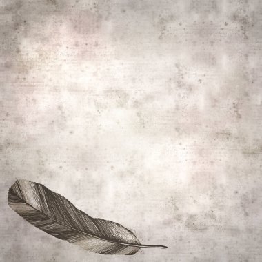 Textured old paper background with feather line drawing clipart