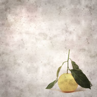 kare biçiminde eski desenli kağıt arkaplan ile portakal meyvesi