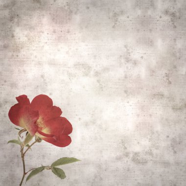 Tek kırmızı ve sarı çalı çiçekli eski moda kağıt arka plan