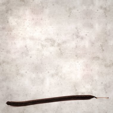 desenli eski kağıt arka plan, kare, Senna spektabilis uzun koyu tohumlar, altın harika ağaç