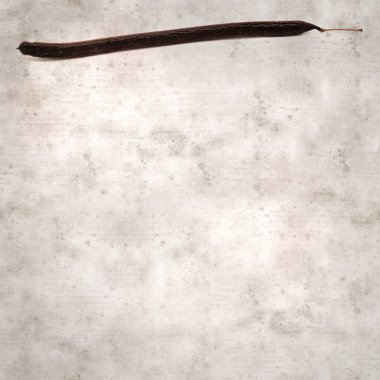 desenli eski kağıt arka plan, kare, Senna spektabilis uzun koyu tohumlar, altın harika ağaç