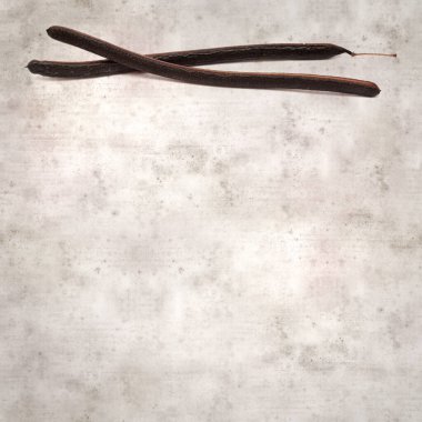 desenli eski kağıt arka plan, kare, Senna spektabilis uzun koyu tohumlar, altın harika ağaç