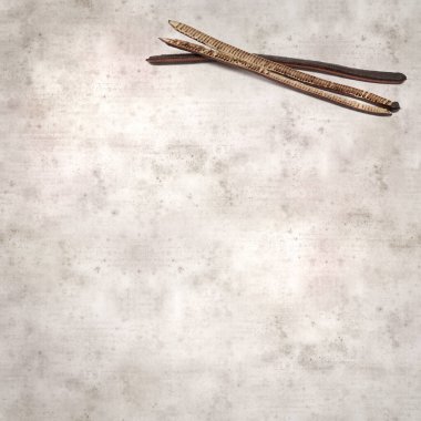 desenli eski kağıt arka plan, kare, Senna spektabilis uzun koyu tohumlar, altın harika ağaç