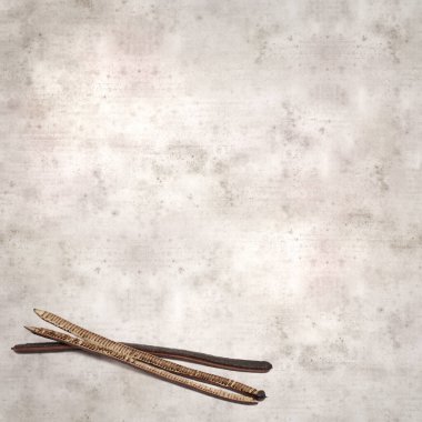 desenli eski kağıt arka plan, kare, Senna spektabilis uzun koyu tohumlar, altın harika ağaç