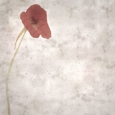 Tropeolum majus, bahçe nasturtiyumu ile eski tarz kağıt kaplama arka plan